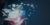 metro-presort-banner