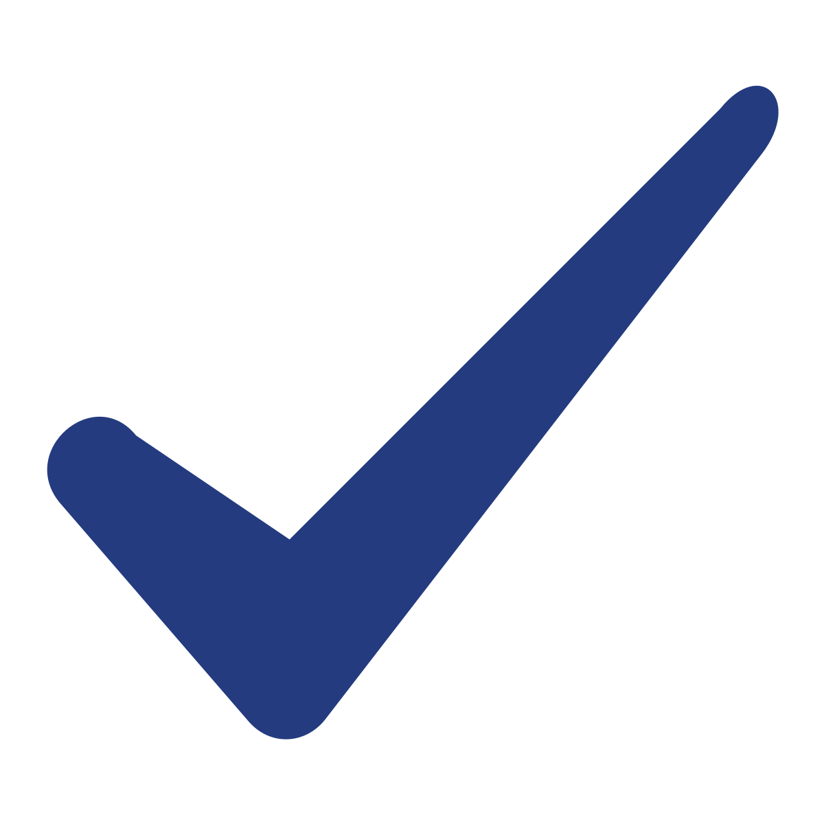 Check Icon